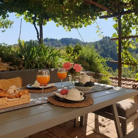 Maison De Village Avec Piscine Au-dessus Des Cinque Terre *