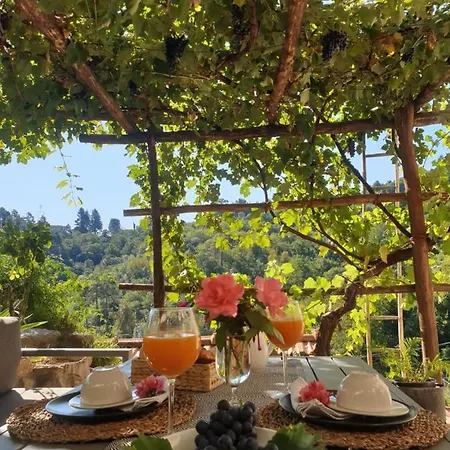 Maison De Village Avec Piscine Au-dessus Des Cinque Terre Casa vacanze *